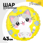 Шар Фольгированный Кавайи Котята (Ассорти)