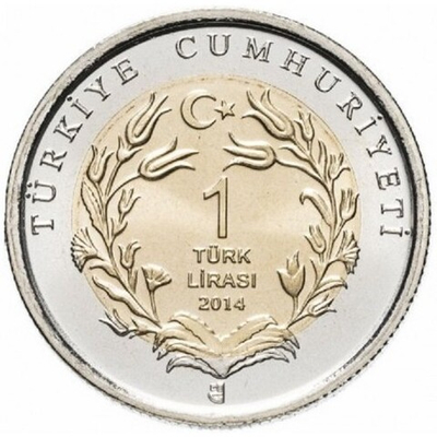 Анатолийский орёл