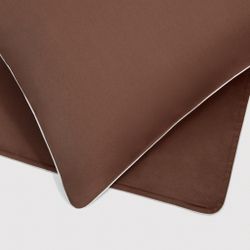 Постельное белье 2 спальное евро макси Сlaire&Caroll Lune коричневое с бежевым кантом