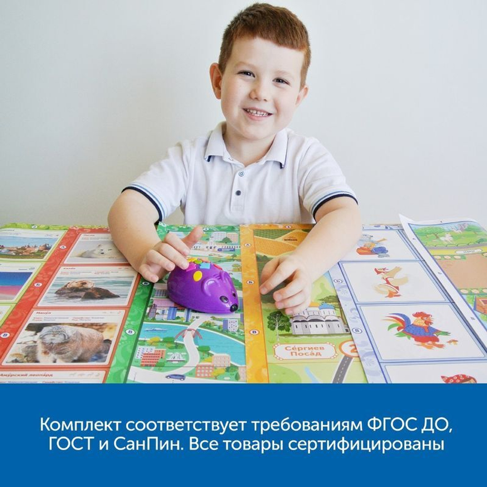 MS0027 Алгоритмика с РобоМышью в детском саду (комплект для группы)