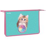 Папка для тетрадей 1 отделение А4 на молнии Berlingo Кошечка, пластик