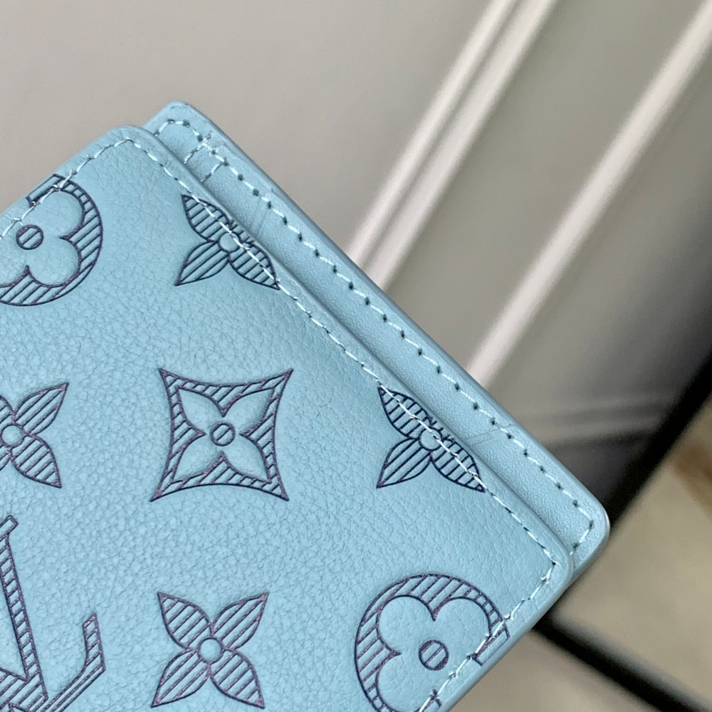 Louis Vuitton Multiple Wallet