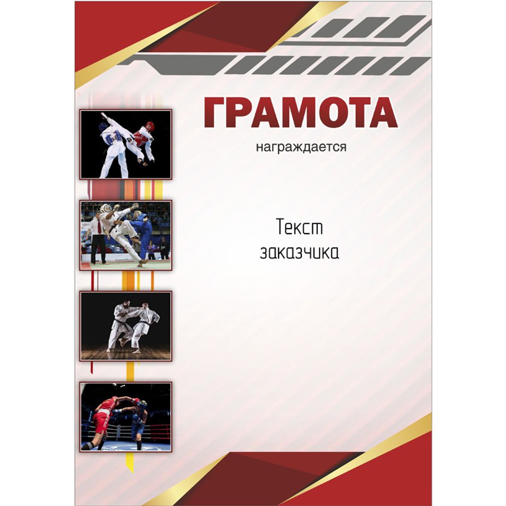 PNDiploma-013 с текстом