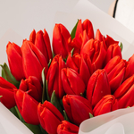 Моно-букет из алых тюльпанов