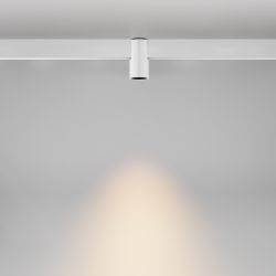 Трековый магнитный светодиодный светильник Maytoni   TR122-2-7W3K-W