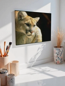 Картина на стену 40 X 50 Пума