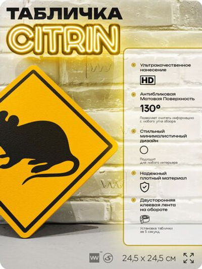 Табличка прикольная "Осторожно, крысы" на дверь и стену, информационная и предупреждающая, декоративный знак, 24,5х24,5 см, пластиковая, Айдентика Технолоджи