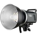 Godox MS300-D