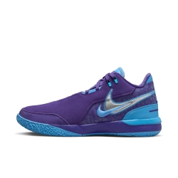 Кроссовки ZM LEBRON NXXT GEN AMPD EP (FIELD PURPLE/METALLIC SILVER VIOLET TERRAIN)