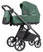 Коляска 2 в 1 Carrello Omega+ CRL-6540/1