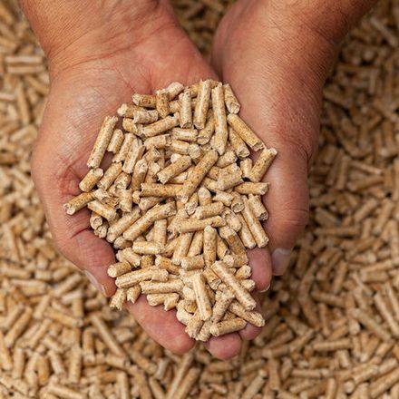 Топливные пеллеты