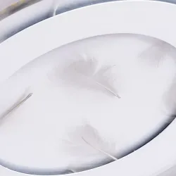 Потолочный светильник Arte Lamp