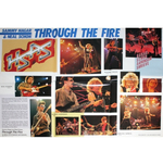 HSAS / Through The Fire (LP)