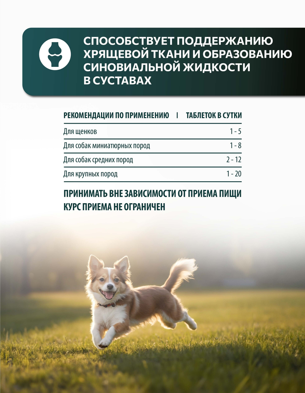 Vita+ мультивитаминное лакомство для собак Здоровые суставы, 90 таблеток