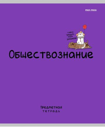 Тетрадь предметная А5 Обществознание "Mini friends" 48л, кл.,тисн.лен