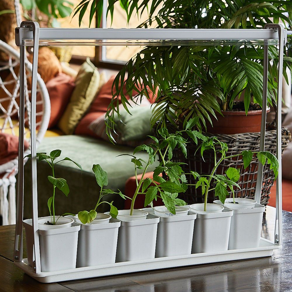 ULT-P56-10W-SPSB IP20 MARBLE ECONOM Набор Минисад. светильник для растений светодиодный с подставкой. Спектр для рассады и цветения. 6 кашпо в-к. мраморные. TM Uniel