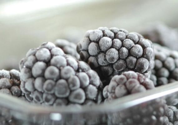 Встраиваемый холодильник Asko RF31831i