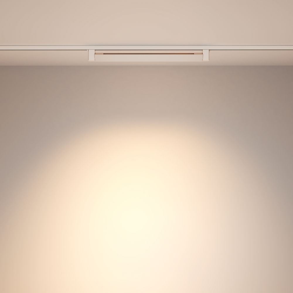 Трековый светильник Technical TR010-1-20W4K-M-W