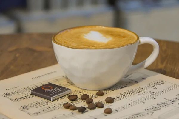 Что будет, если не промывать молочник в кофемашине?