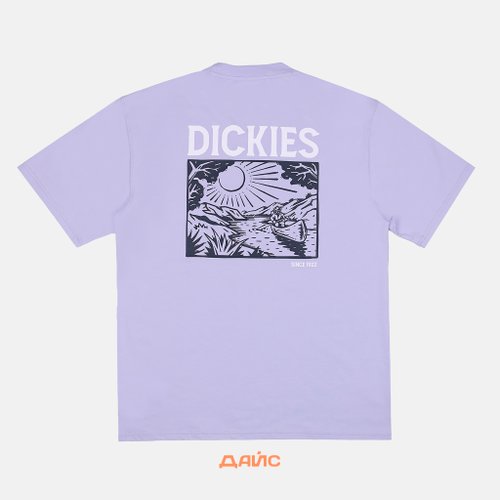 Футболка мужская Dickies Patrick Springs Tee артикул:DK0A4YR7H181 - купить в магазине Дайс