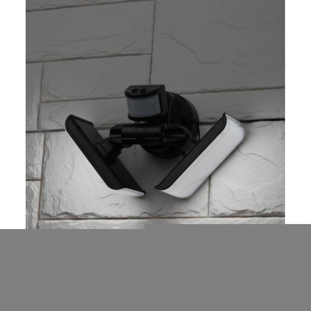 ERAFS020-42 ЭРА Фасадный светильник с двумя световыми панелями c выносной солн. бат., 2х50 LED, 600l