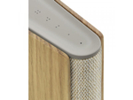 Портативная акустика Bang & Olufsen Beosound Emerge Gold Tone