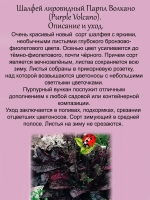 Шалфей Пурпурный вулкан сальвия многолетний