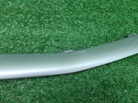Молдинг решетки радиатора Geely Coolray (19-24)