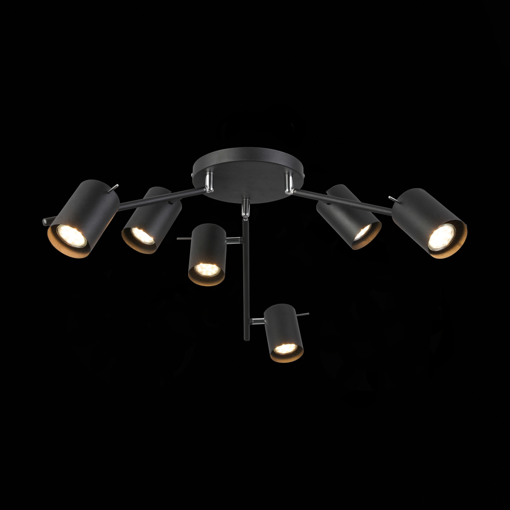 Потолочная люстра ST Luce SL597.402.06