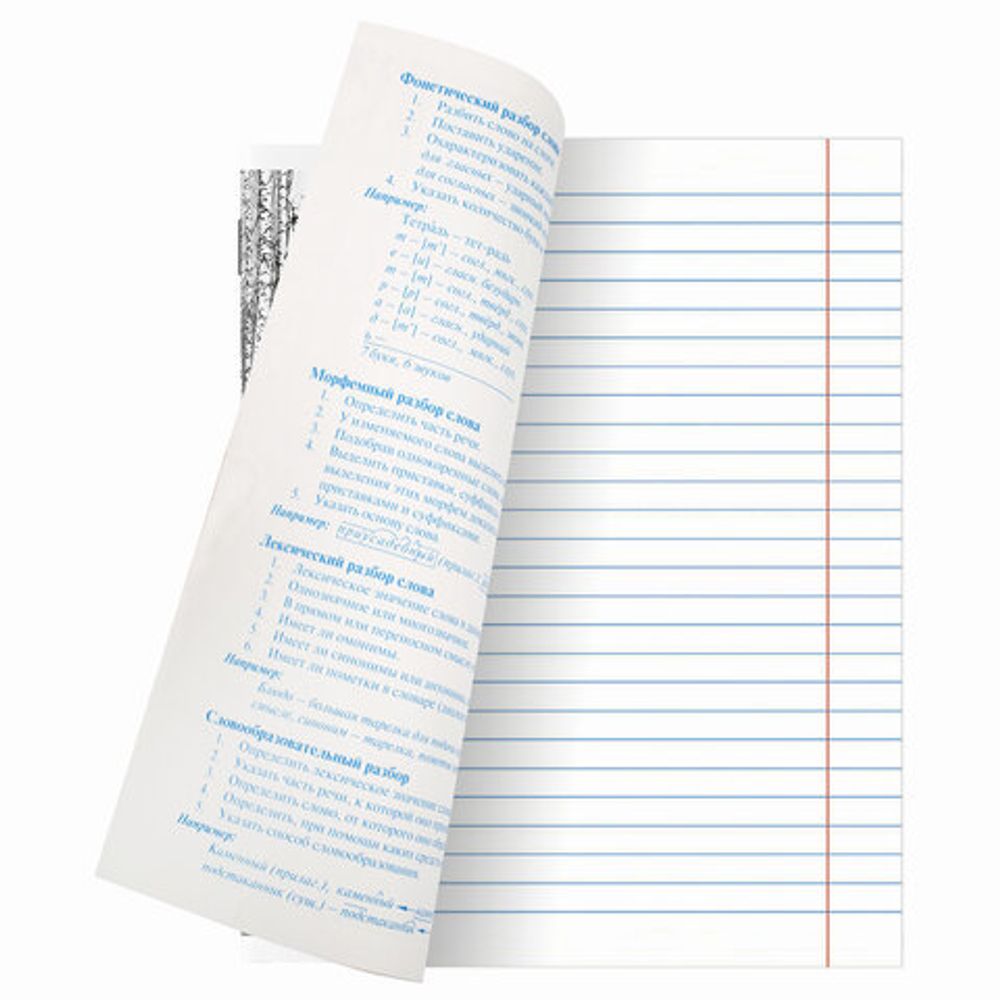 Тетради предметные, КОМПЛЕКТ 10 ПРЕДМЕТОВ, "КЛАССИКА XXI", 48 л., обложка картон, BRAUBERG, 404025