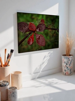 Картина на стену 40 X 50 Листья и роса