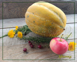 Дыня Эфиопка/Сем Алт/цп 1 гр.