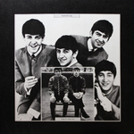 The Beatles, David Wigg / The Beatles Tapes From The David Wigg Interviews (2LP)