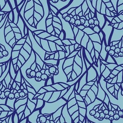 СИНИЕ ЯГОДЫ НА ГОЛУБОМ ФОНЕ