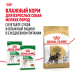 Royal Canin Miniature Schnauzer Adult Миниатюрный Шнауцер Эдалт Корм сухой для взрослых собак породы Миниатюрный Шнауцер от 10 месяцев 3кг