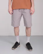 Шорты Anteater Simple Cement