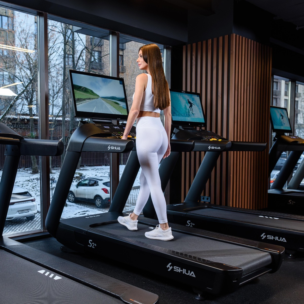 Профессиональная беговая дорожка SHUA SH-T9100T