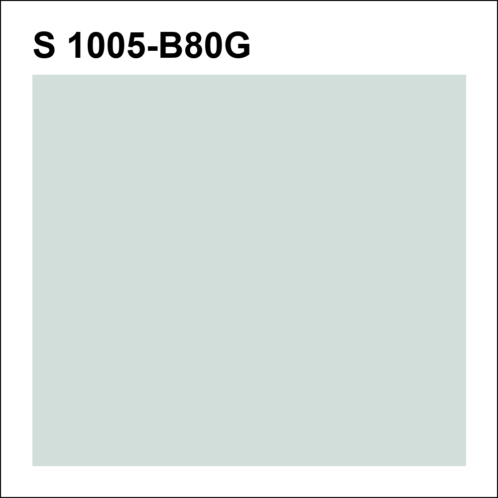 S 1005-B80G за кг