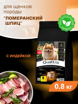 Корм сухой для щенков породы Померанский шпиц, с индейкой, 800 гр, QUATTRO