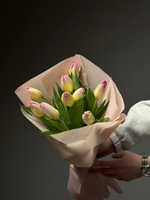 Тюльпаны 9 шт