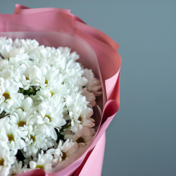 Букет из хризантем ромашек размер XL