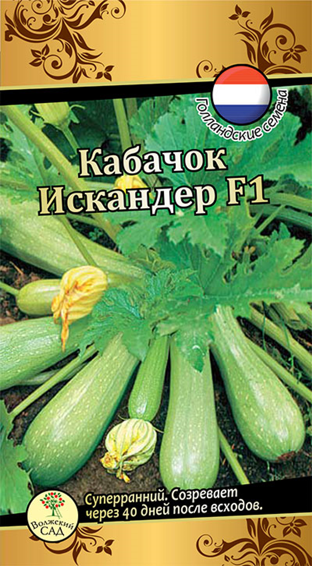 Кабачок Искандер Ц Волжский Сад