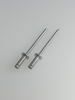 3,2х8 Заклепка вытяжная нерж. А2-70 (20 шт.)