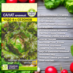 Зелень и овощи для Вашего сада