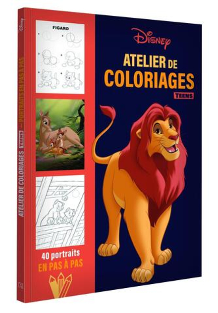Hachette  раскраска по номерам  DISNEY TEENS - Atelier de coloriages - Portraits en pas à pas