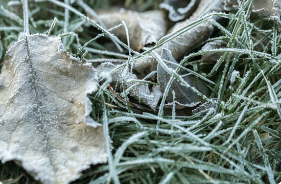 Герметизация швов после зимы: защита от прорастания травы