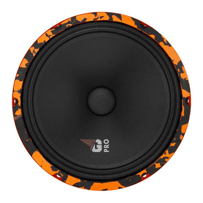 DL Audio Gryphon Pro 250 | Эстрадная акустика 25 см. (10")