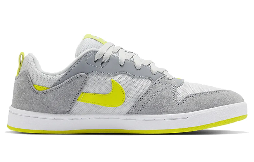 Кроссовки Nike Sb Alleyoop