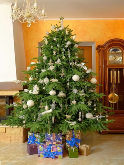 Ель искусственная Царь Елка Раскидистая Премиум, РДП-240