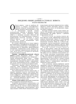 Хирургическая анатомия живота | А.Н. Максименков